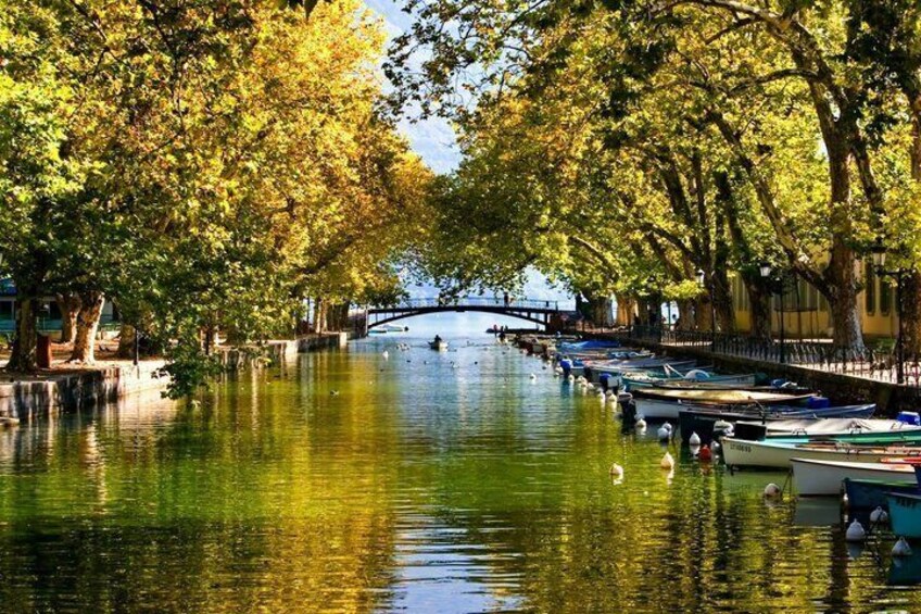 Un fiume tranquillo con barche ormeggiate sulla destra, un ponte in lontananza e alberi che costeggiano le rive. 5
