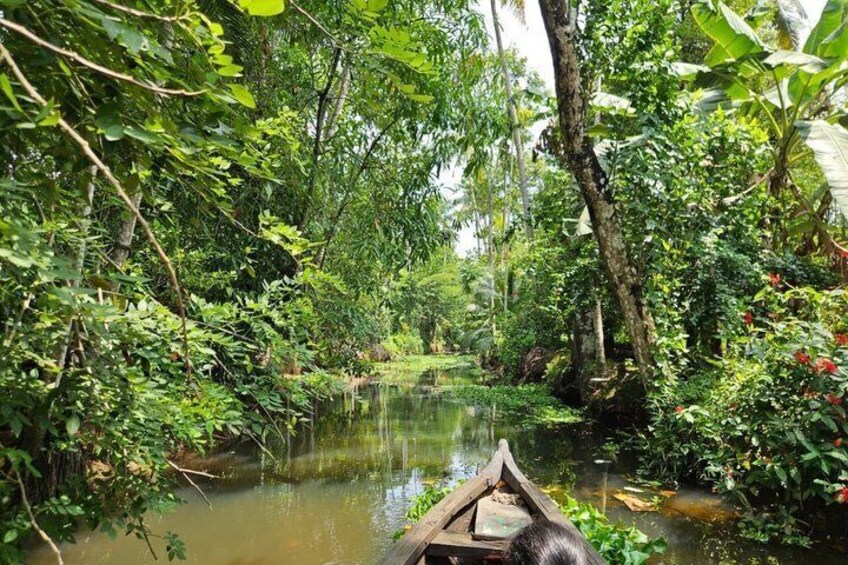 A river surrounded by dense tropical foliage, a small boat, and a wooden bridge. 4