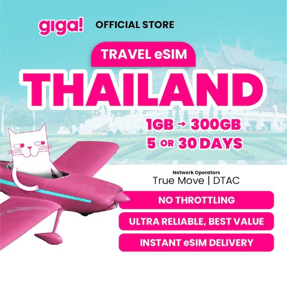 A promotional poster for Thailand travel eSIM with a cat on a plane. 1
