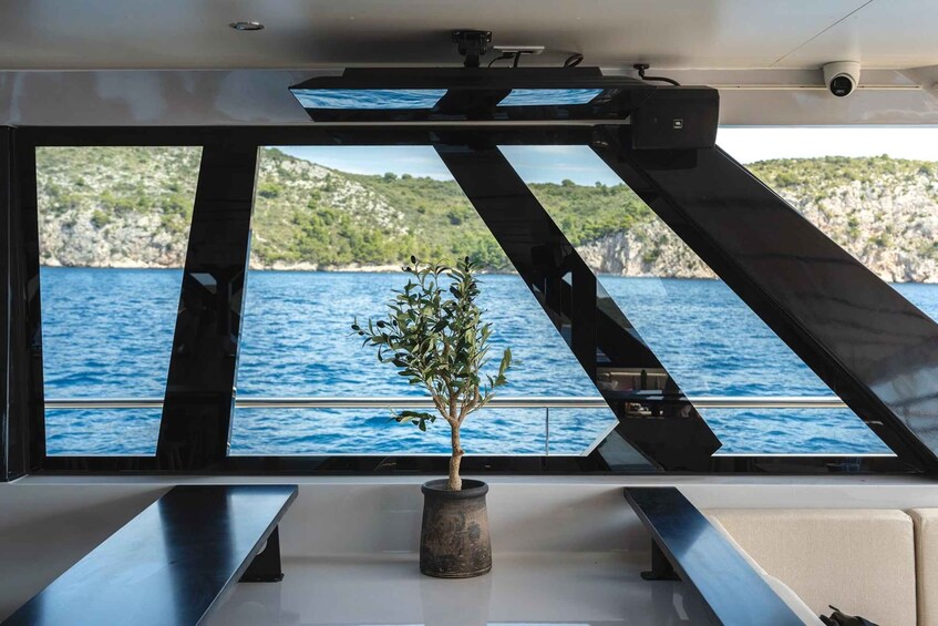 A potted plant on a table by a window overlooking a body of water with rocky cliffs. 2