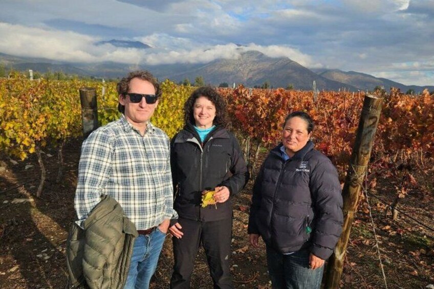 Three people standing in a vineyard with rows of grapevines and mountains in the background. 3