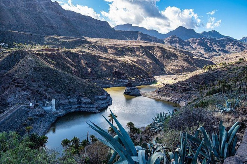 Private Shore Tour: Altitude Wines & Tapas Experience 4