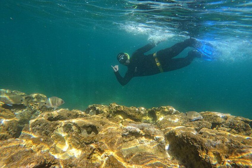 Lisbon Snorkeling Adventure in Arrábida Natural Park 5
