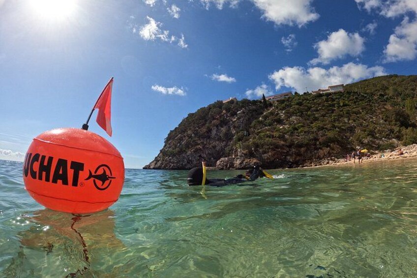 Lisbon Snorkeling Adventure in Arrábida Natural Park 4