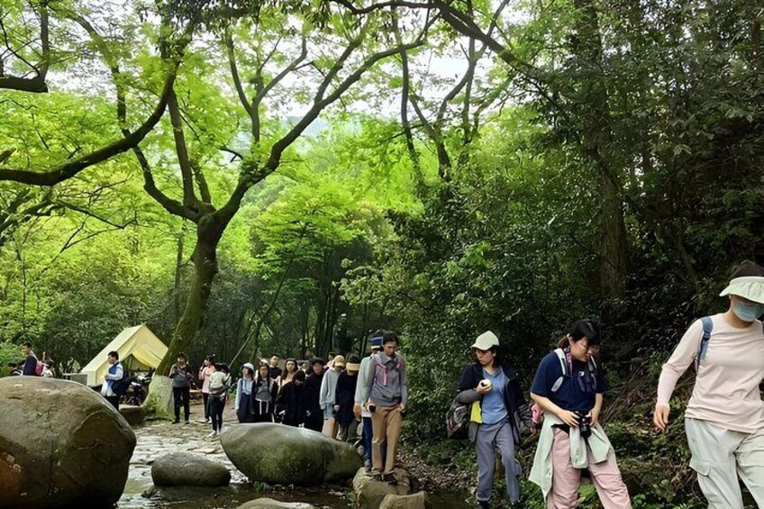 Hangzhou West Lake Hiking Day Trip Jiuxi and Longjing Village 5