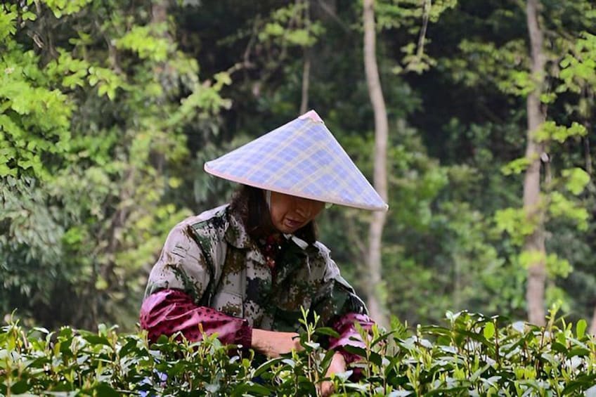 Hangzhou West Lake Hiking Day Trip Jiuxi and Longjing Village 1