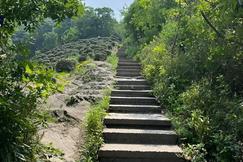Hangzhou West Lake Hiking Day Trip Jiuxi and Longjing Village 2