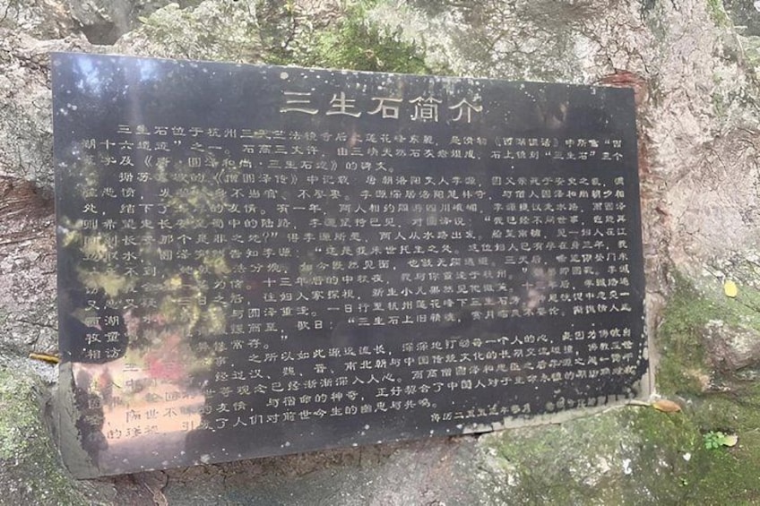 Hangzhou West Lake Hiking Day Trip Jiuxi and Longjing Village 4