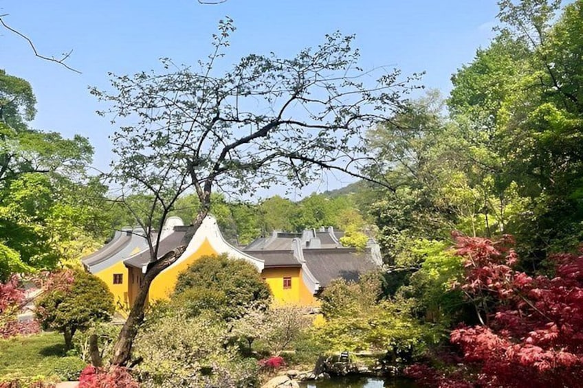 Hangzhou West Lake Hiking Day Trip Jiuxi and Longjing Village 3