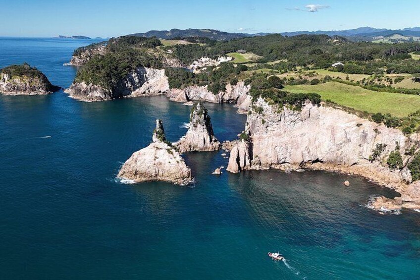 Cathedral Cove Scenic Cruises Explore Caves and Coastline 4