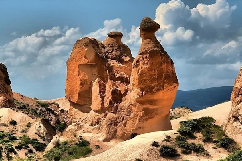 Tour to Ephesus, Bodrum, Salda, Pamukkale, Cappadocia, Camel Ride 2