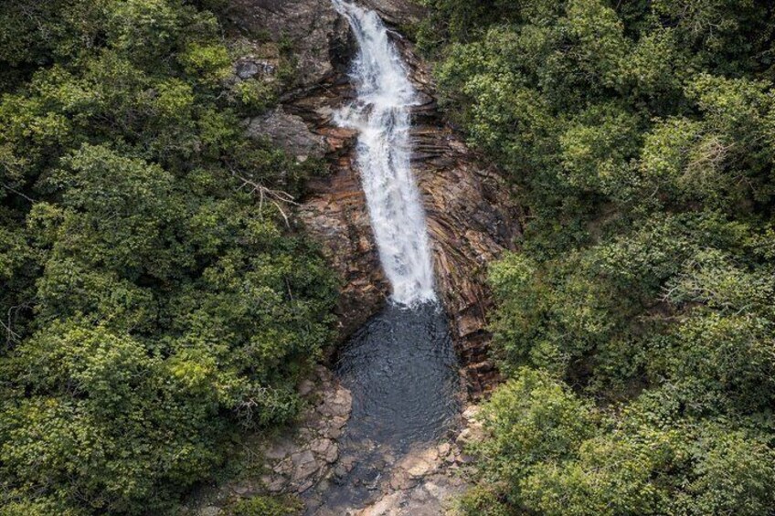 Ein Wasserfall, umgeben von dichtem Grünwald. 5