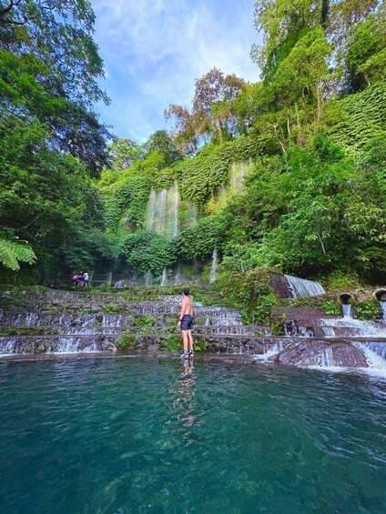 A waterfall cascading into a clear pool surrounded by lush greenery. 3