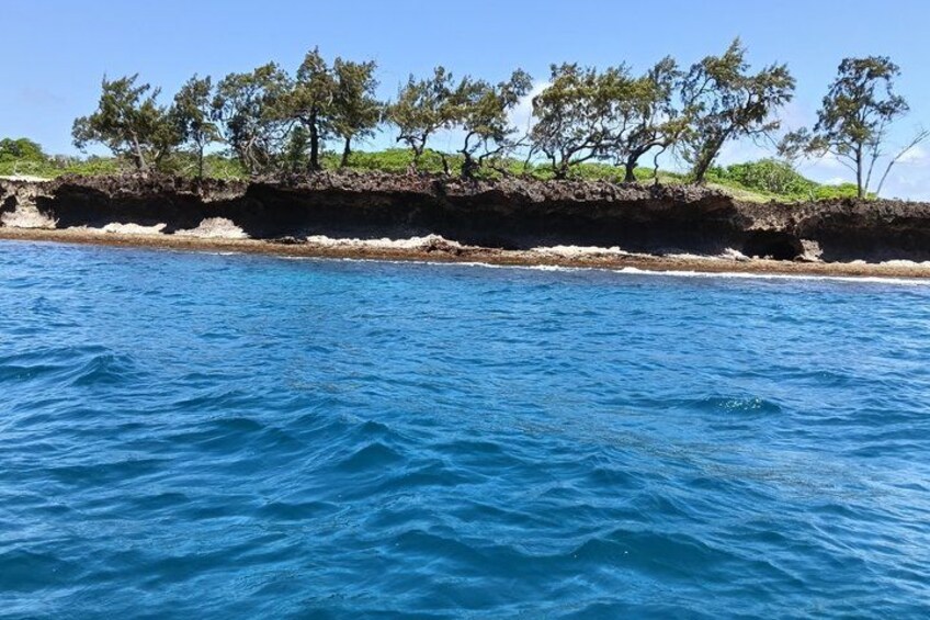 Un paysage côtier avec une plage de sable et des arbres. 3