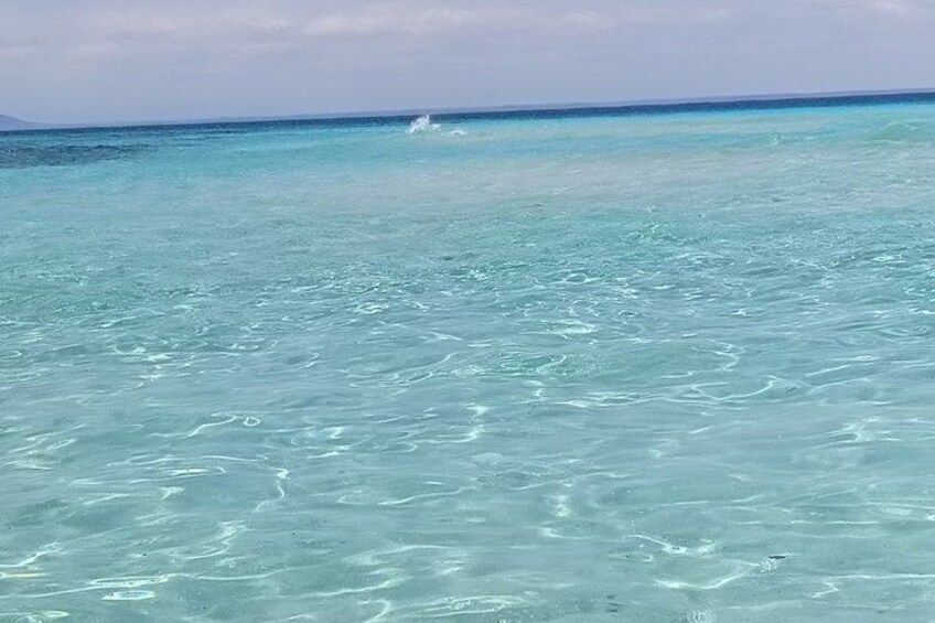 Clear turquoise water with a visible splash. 2
