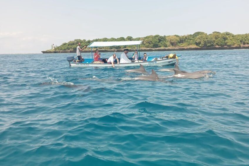 Wasini Dolphin and Snorkeling Excursion 3