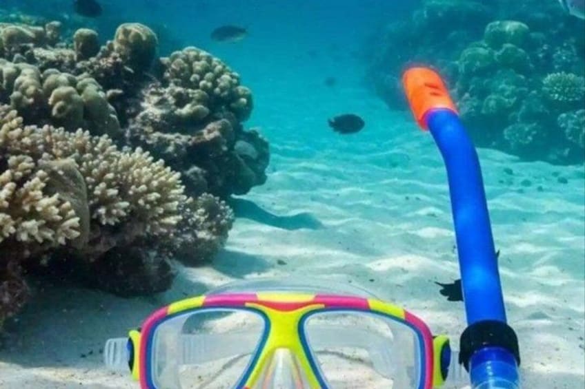 A snorkel, a pair of colorful goggles, and a coral reef with fish. 4