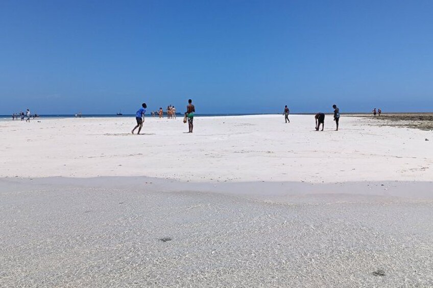 Une plage où l’on voit des gens se promener et un chien. 4