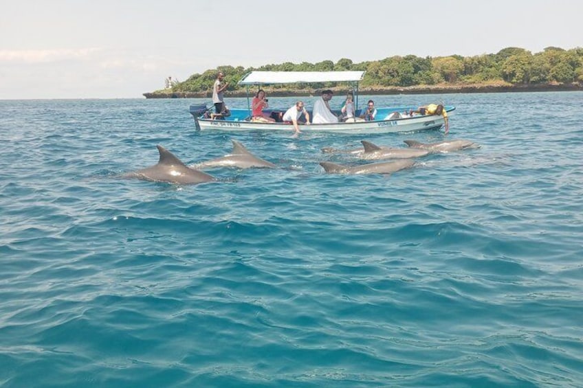 Wasini Dolphin and Snorkeling Excursion 2