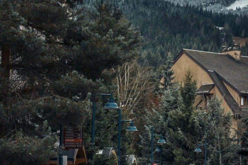 A mountain lodge surrounded by dense forest, a signpost, and street lamps. 4