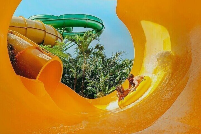 A water slide with yellow and green tubes, surrounded by tropical vegetation. 4