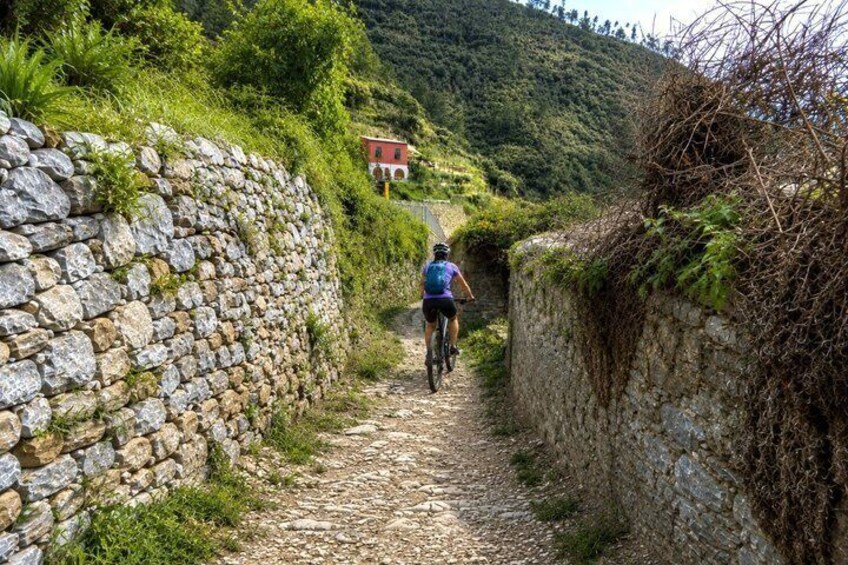 Cinque Terre eBike tour Virtual-guided 4