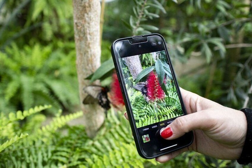 Enjoy nature at Butterfly House in Milano Marittima 3