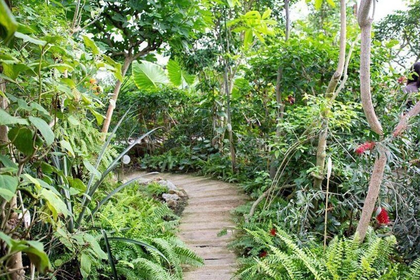 Enjoy nature at Butterfly House in Milano Marittima 4