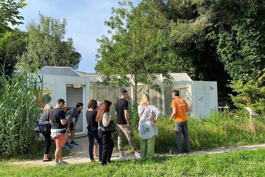 Enjoy nature at Butterfly House in Milano Marittima 2