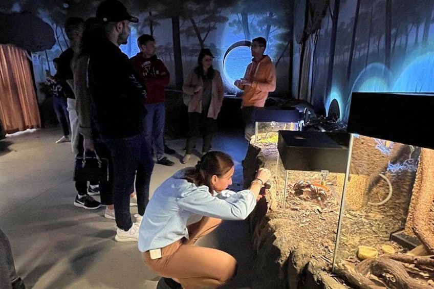 Une personne interagissant avec un présentoir dans le cadre d’une exposition. 5