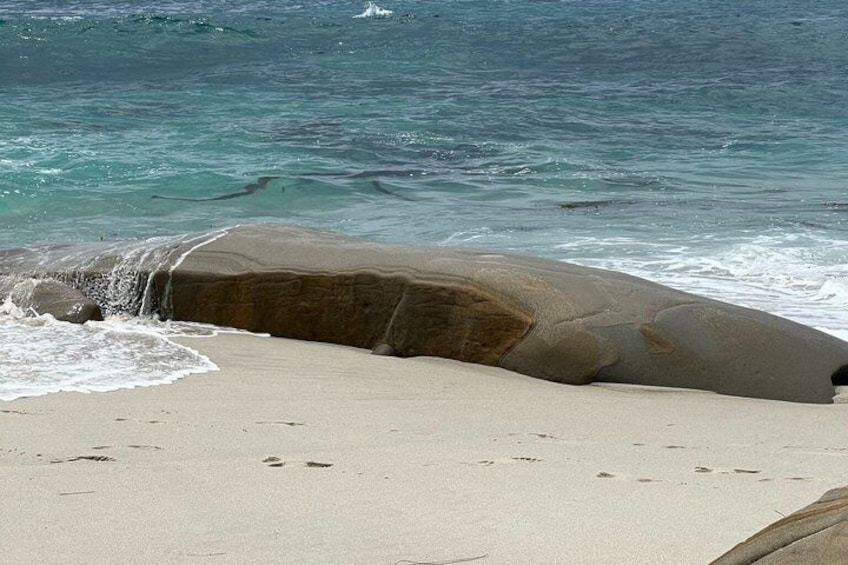 Un gros rocher sur une plage de sable, avec des vagues qui s’y brisent. 1