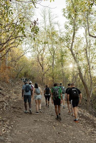 Picture 5 for Activity Mauritius: Le Morne Paranorama Route – Easy Hike (No Summit) 4