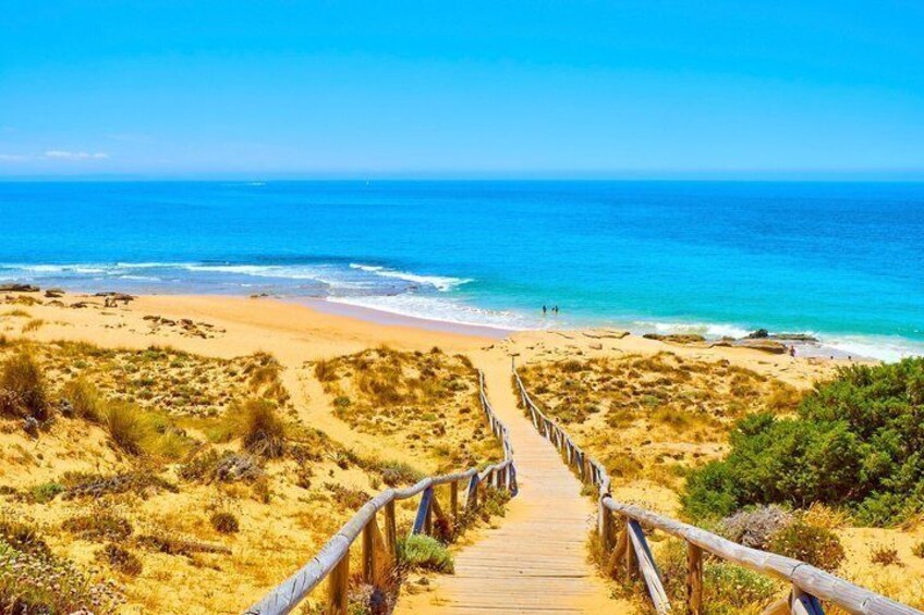 Una passerella di legno che conduce a una spiaggia con dune e oceano. 3