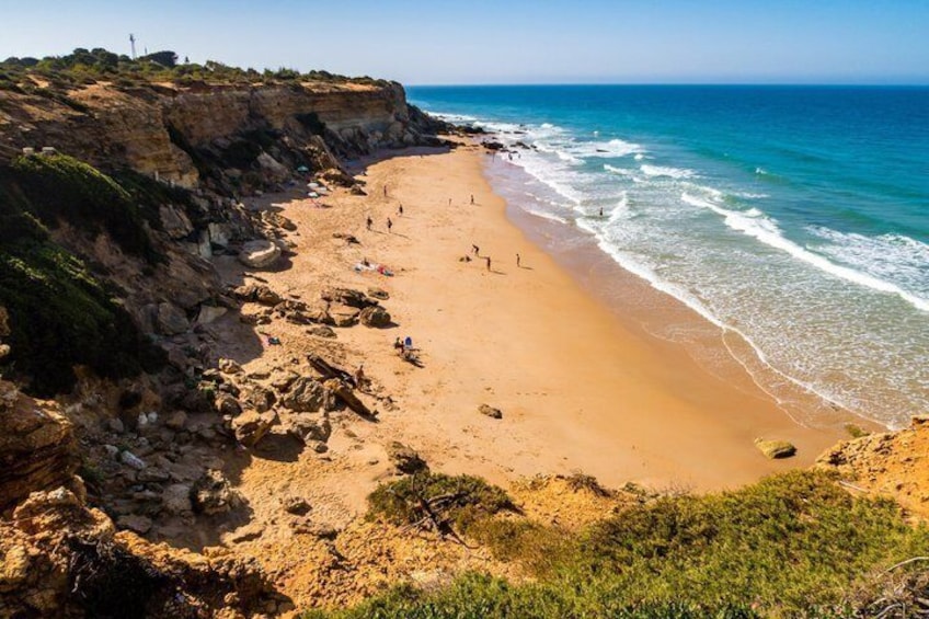 Una spiaggia costiera con scogliere rocciose, una battigia sabbiosa e l'oceano. 5