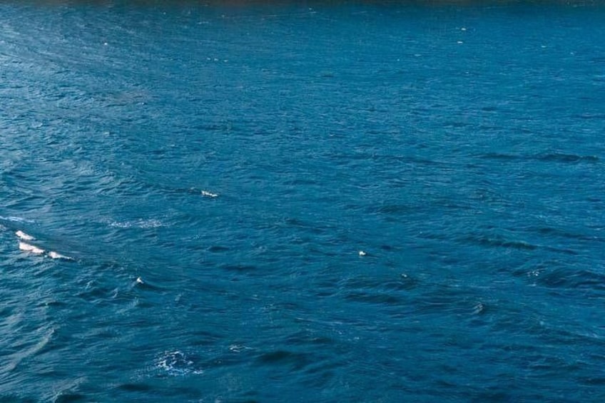 Tayrona Luxury Escape Gayraca with Private Boat BBQ 2