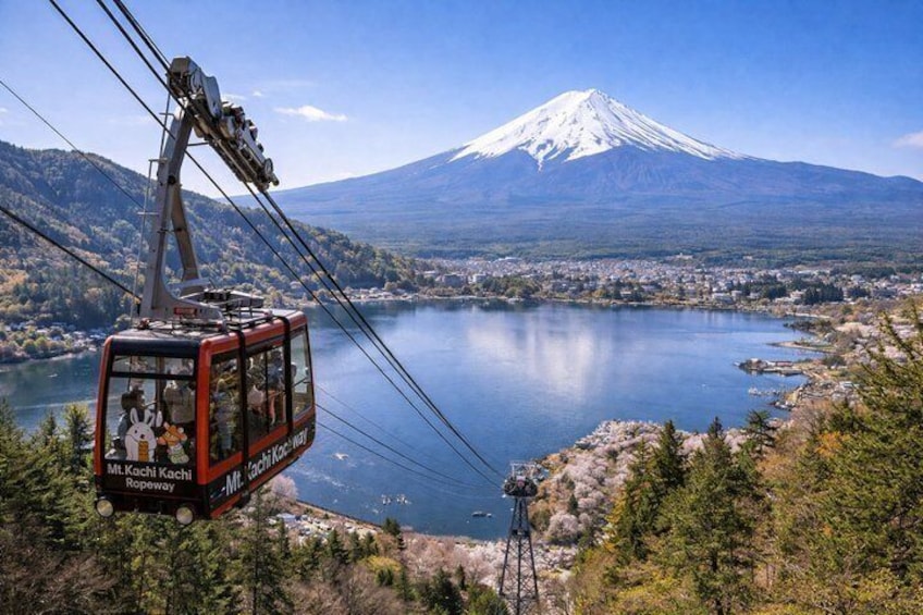 Hidden Mount Fuji Tour from Tokyo with English Speaking Driver 3