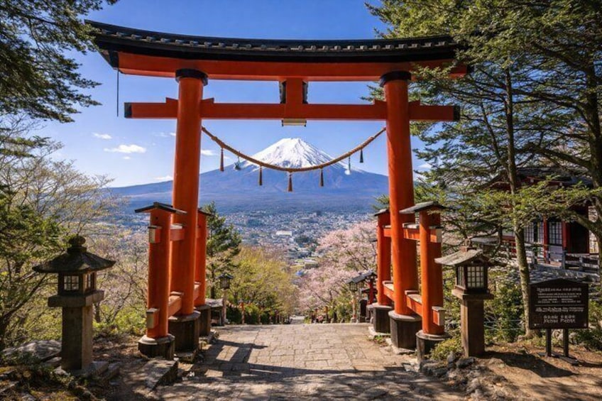 Hidden Mount Fuji Tour from Tokyo with English Speaking Driver 2
