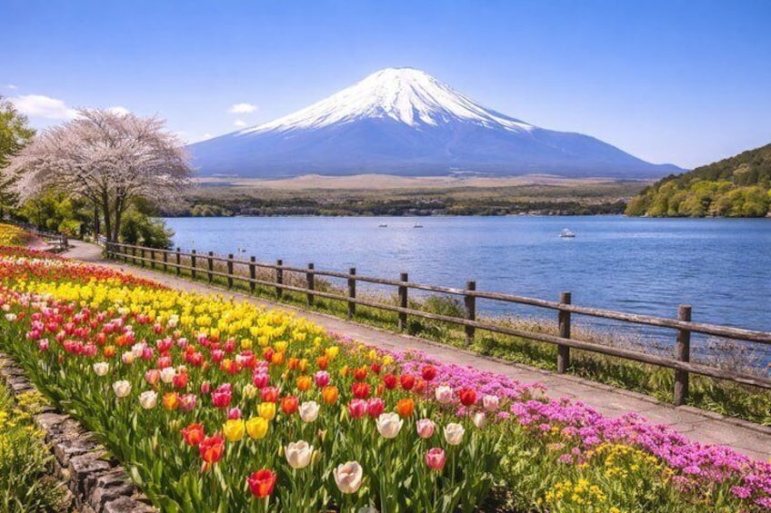 Hidden Mount Fuji Tour from Tokyo with English Speaking Driver 4