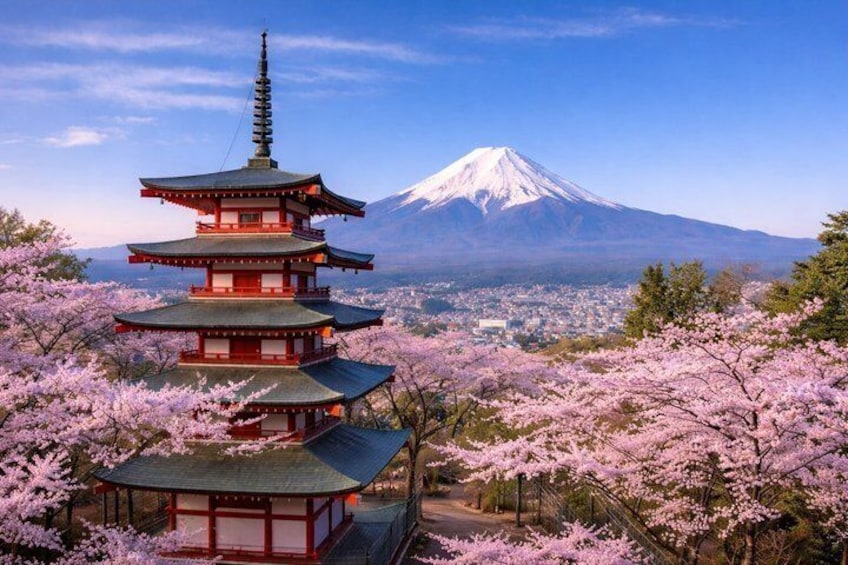 Private Mount Fuji Tour from Tokyo with English Speaking Driver 1