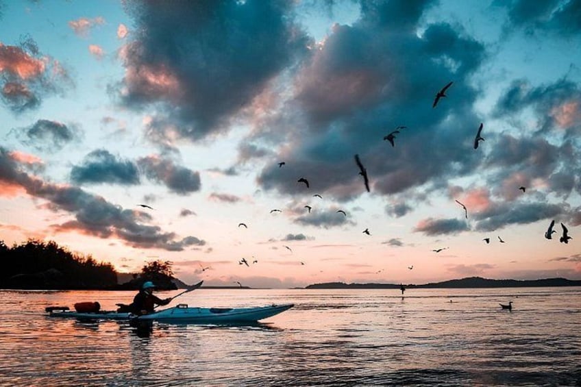 A sunset over a body of water with a person paddling a boat and birds flying in the sky. 2