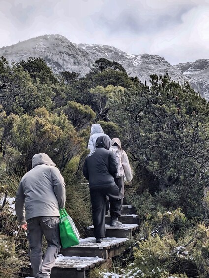 Picture 16 for Activity Launceston: Cradle Mountain Full-Day Hiking Tour 2