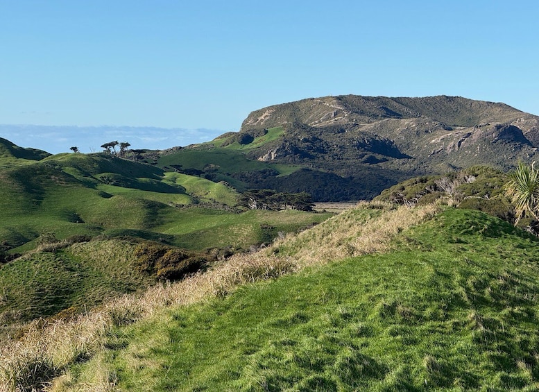 Picture 15 for Activity From Nelson: Wharariki Beach Exploration 4