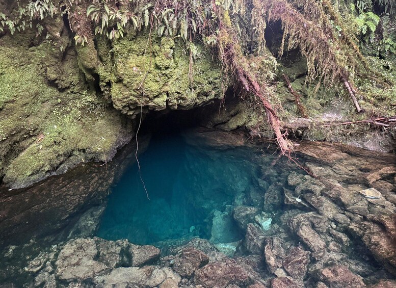 A clear blue pool surrounded by rocky terrain with moss-covered surfaces and ferns. 3