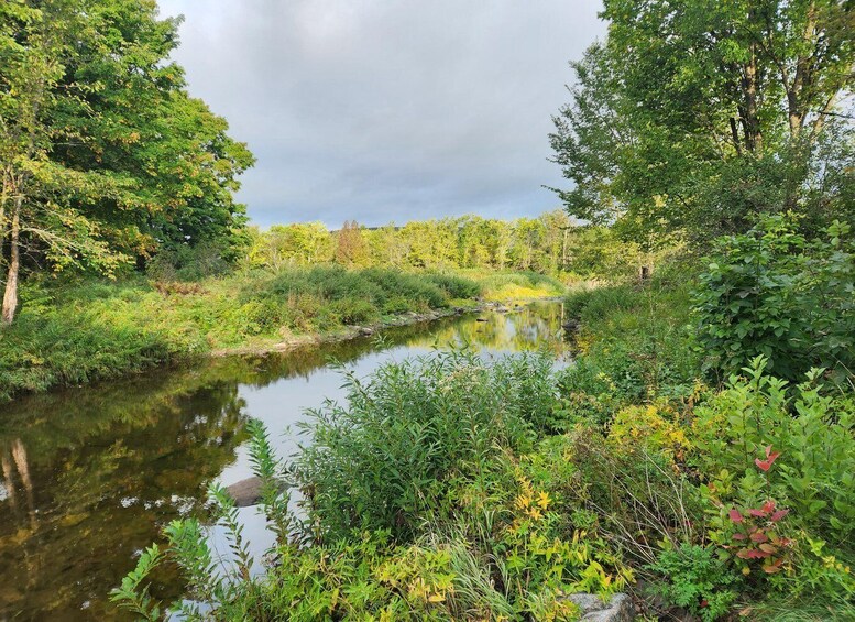 A calm river surrounded by dense greenery and trees. 2