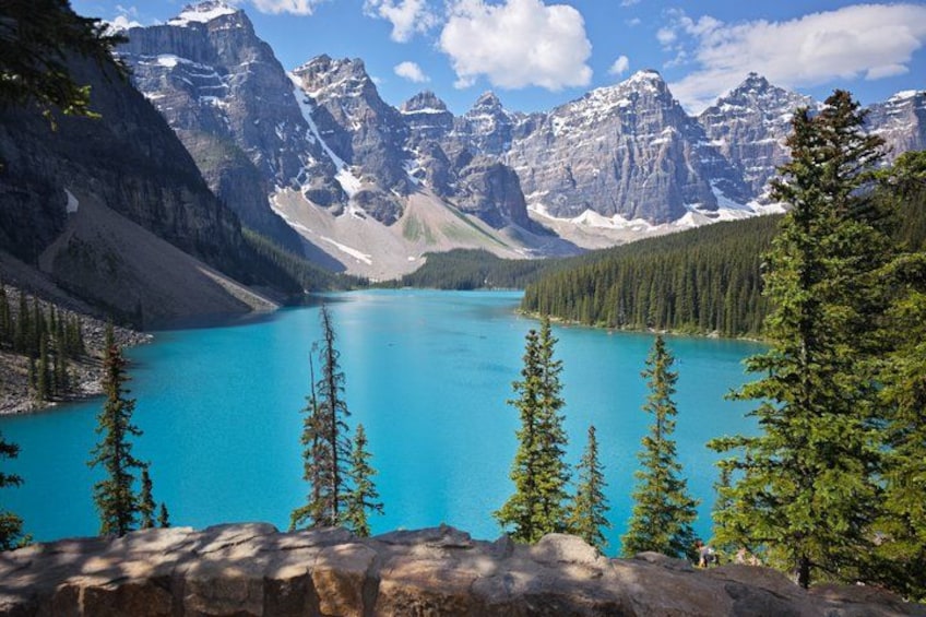 A turquoise lake surrounded by mountains, with pine trees in the foreground. 5