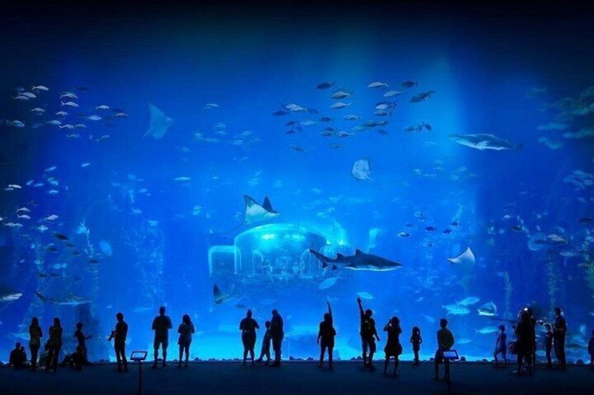 Excursion to Las Palmas de Gran Canaria with ticket to Poema del Mar 2