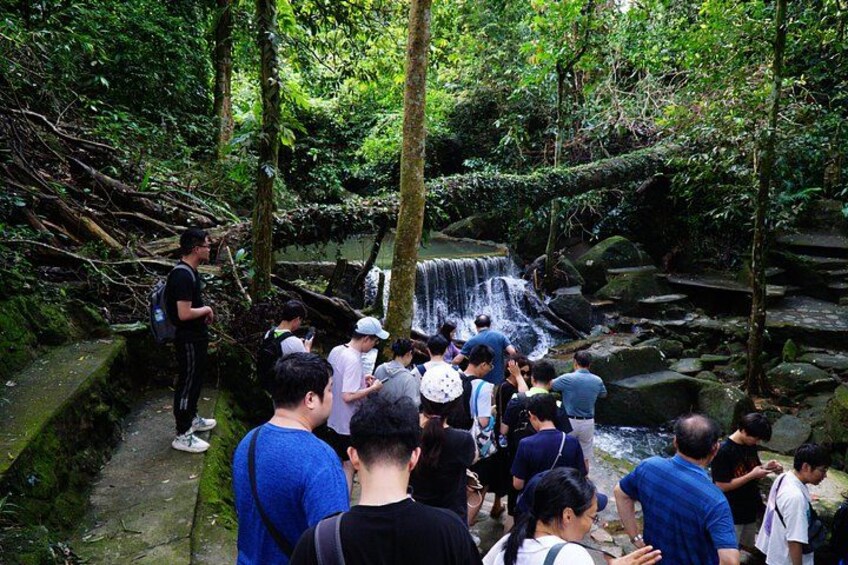 Jungle Discovery Tour Temples Waterfalls and Scenic Views 3
