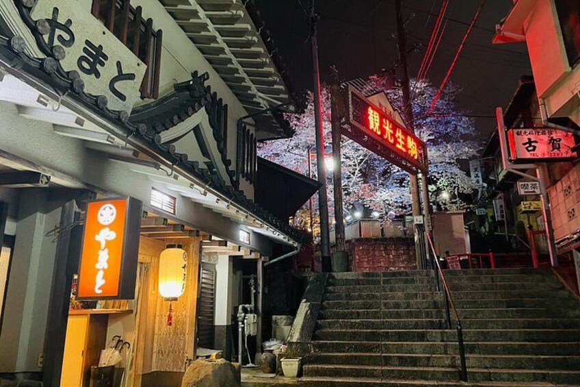 Nara Ikoma Hozanji Temple Small Group Walk and Cable Car Sky View 2