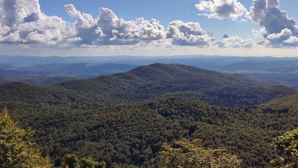 A mountainous landscape with dense forests and scattered clouds. 4