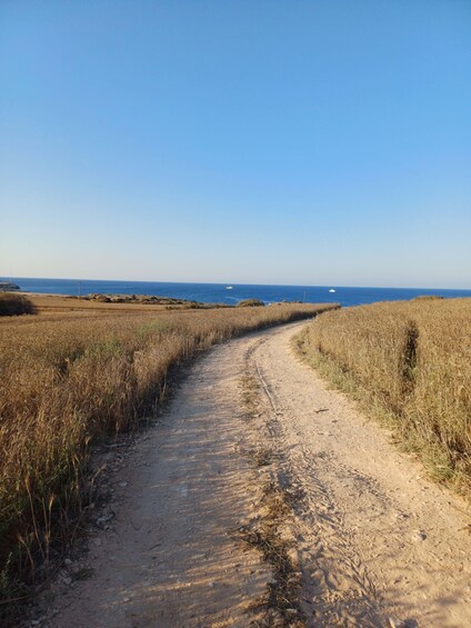Picture 14 for Activity Cape Greco Hiking Tour Cyprus | Scenic Sunset Guided Walk 4